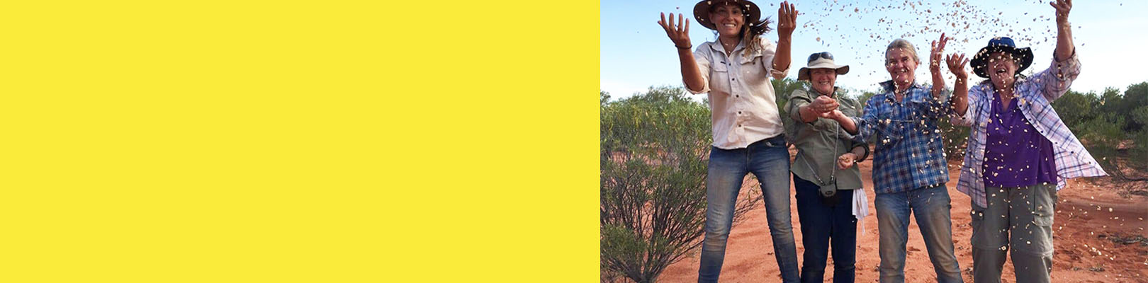 Corporate social responsibility